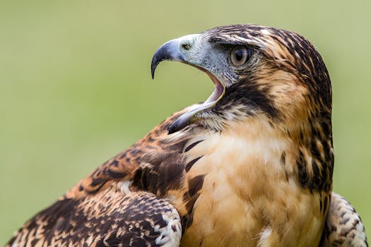  连续三年业绩承压；大为股份定增加码嵌入式存储。 股票财经