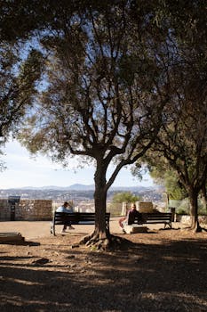 工业黄金POE迎来国产化浪潮；独山子石化气相法工艺结硕果；多企业合力重塑全球格局。