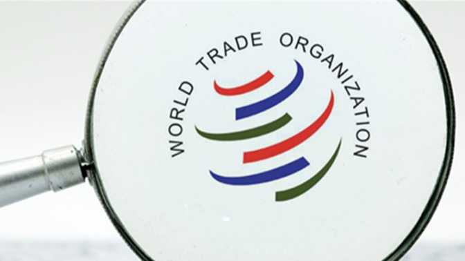  【深度解析】WTO首席经济学家亲述：301调查背后的关税博弈与AI投资新格局 新闻