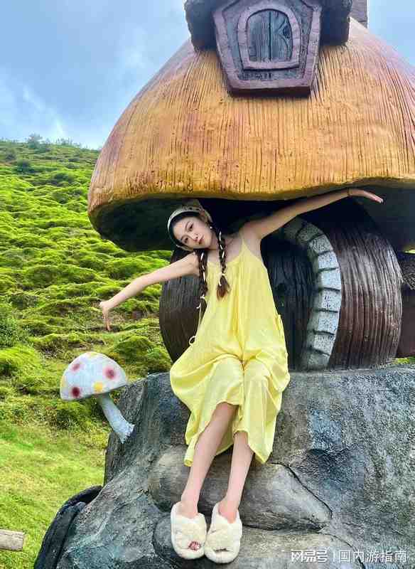  郴州深度游服务架构解析：专业旅行社如何构建品质闭环 文化旅游