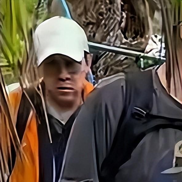  从爬山背影读懂豪门家风：霍启刚郭晶晶的低调哲学与技术分析 文化旅游