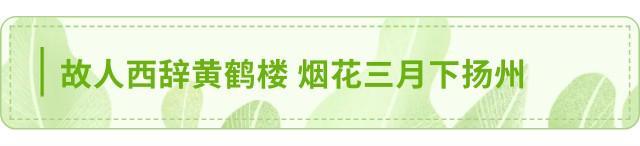  文化战略资产视角下的企业团建实践——中时通江南考察的方法论复盘 新闻