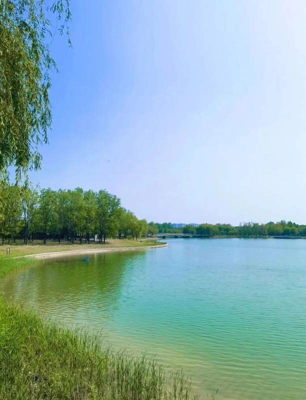  郑州周边自驾游全攻略：2-3小时可达的五处宝藏目的地深度评测 文化旅游