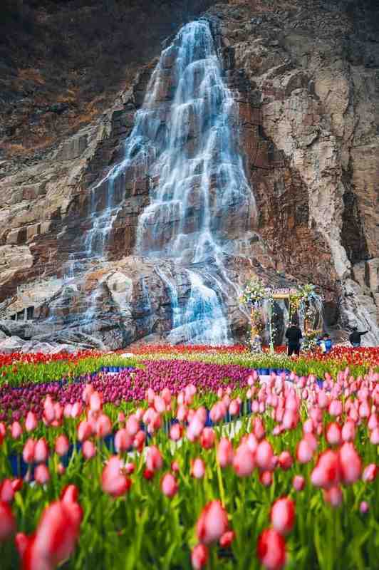  郑州周边自驾游全攻略：2-3小时可达的五处宝藏目的地深度评测 文化旅游