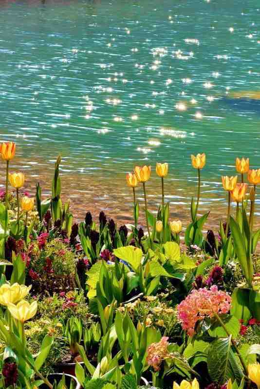  郑州周边自驾游全攻略：2-3小时可达的五处宝藏目的地深度评测 文化旅游