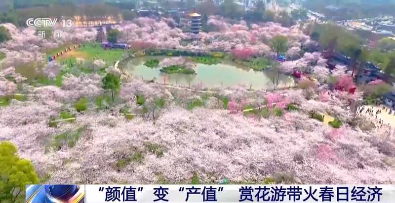  花开了，小镇醒了：一个被春天改变的地方和在那里遇见的故事 文化旅游 花开了，小镇醒了：一个被春天改变的地方和在那里遇见的故事 文化旅游