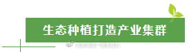 太行深处那抹金黄:涉县人与连翘的不解之缘 文化旅游 太行深处那抹金黄:涉县人与连翘的不解之缘 文化旅游
