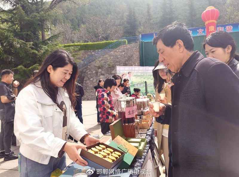 太行深处那抹金黄:涉县人与连翘的不解之缘 文化旅游 太行深处那抹金黄:涉县人与连翘的不解之缘 文化旅游
