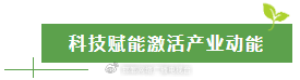 太行深处那抹金黄:涉县人与连翘的不解之缘 文化旅游 太行深处那抹金黄:涉县人与连翘的不解之缘 文化旅游