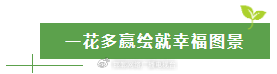 太行深处那抹金黄:涉县人与连翘的不解之缘 文化旅游 太行深处那抹金黄:涉县人与连翘的不解之缘 文化旅游