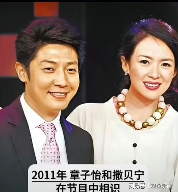 收入鸿沟与价值错位:撒贝宁与章子怡情感破裂的技术复盘 娱乐新闻
