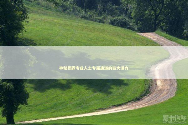 神秘揭露专业人士专属通道的巨大潜力