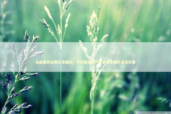 从底层协议看社交隐私：为何高端用户更青睐定制化通讯方案 IT技术