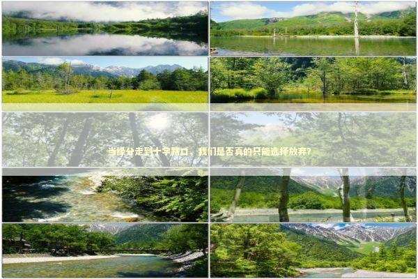 当缘分走到十字路口，我们是否真的只能选择放弃？