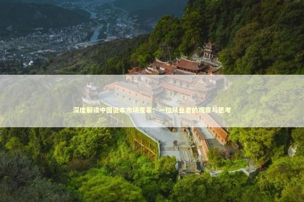 深度解读中国资本市场变革：一位从业者的观察与思考 股票财经
