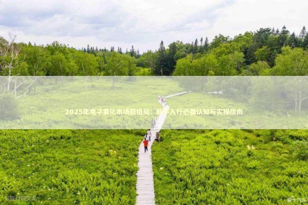 2025年电子雾化市场新格局:新手入行必备认知与实操指南 2025年电子雾化市场新格局:新手入行必备认知与实操指南 汽车科技