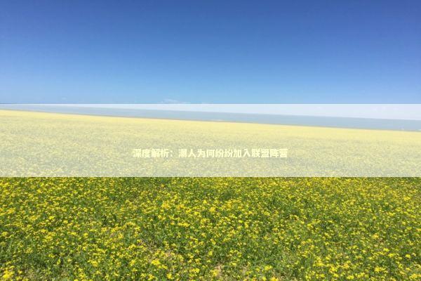 深度解析：潮人为何纷纷加入联盟阵营
