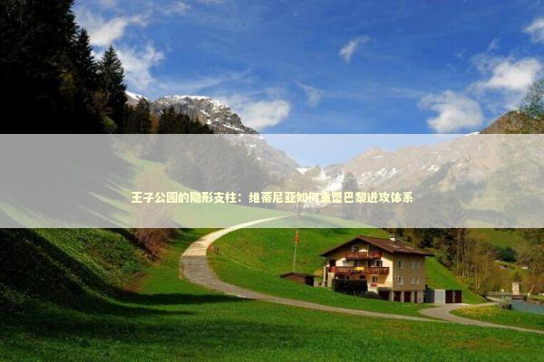王子公园的隐形支柱：维蒂尼亚如何重塑巴黎进攻体系 体育新闻