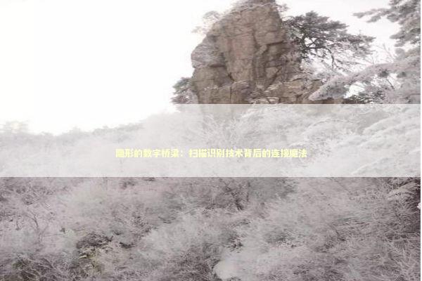 隐形的数字桥梁:扫描识别技术背后的连接魔法 隐形的数字桥梁:扫描识别技术背后的连接魔法 IT技术